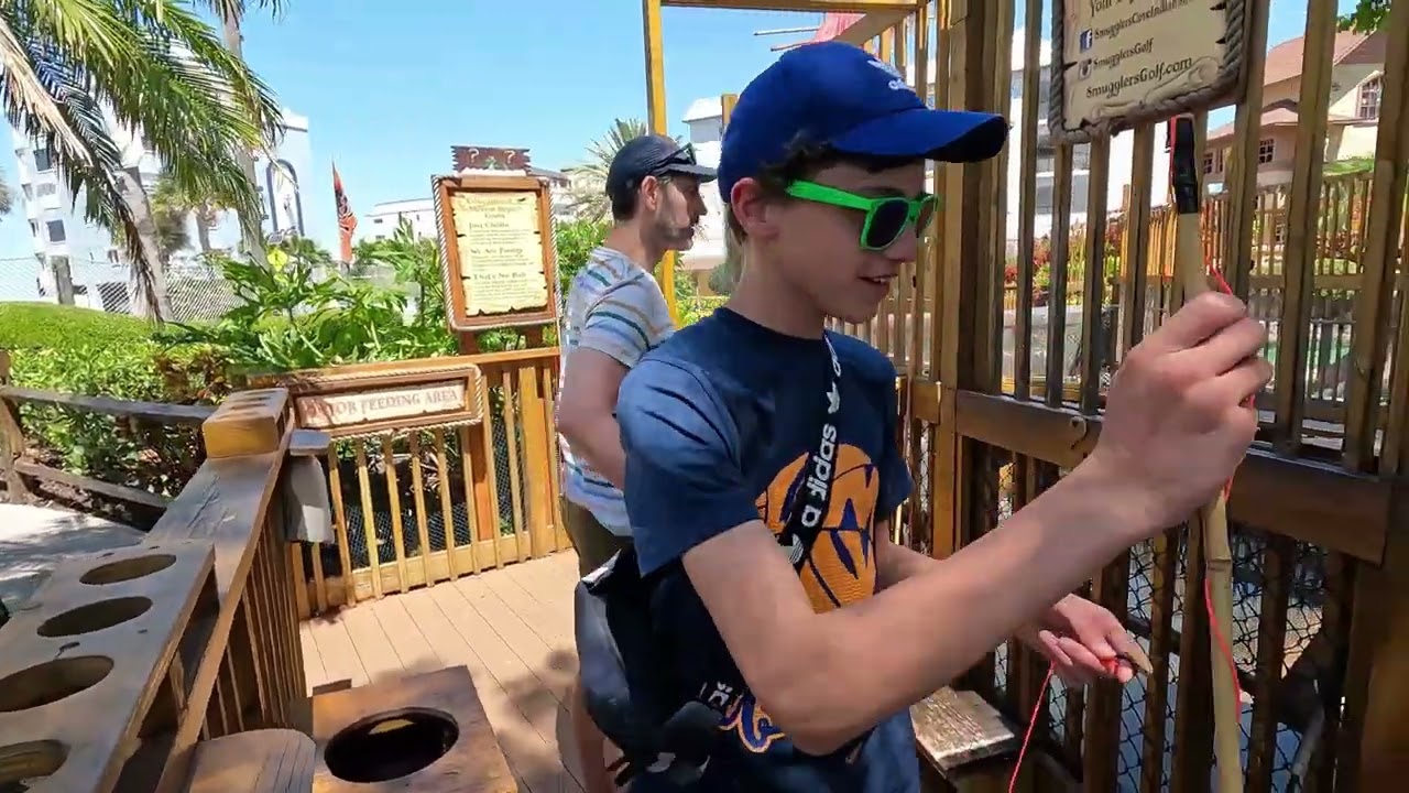 Gator Feeding at Smugglers Cove Adventure Golf! Indian Shores, Florida