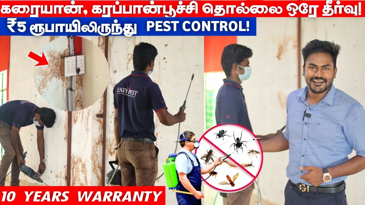 வீட்டில் கரையான் அரிப்பா😱? எலி தொல்லையா? இனி கவலை வேண்டாம்! pest control in home tamil