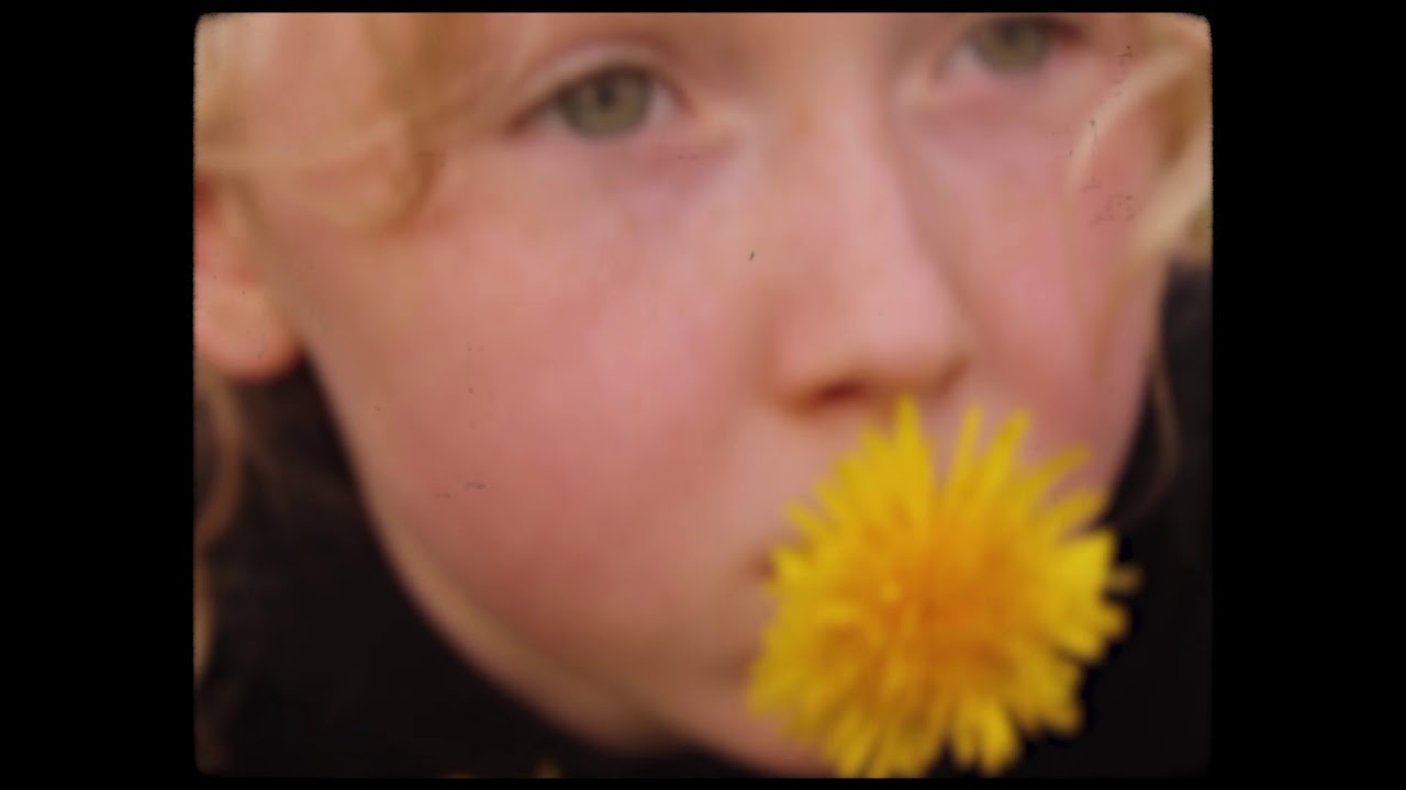 Andrew Hamilton – "May"