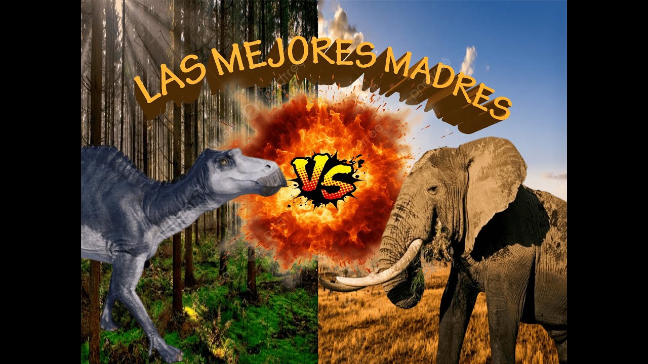 las MEJORES MADRES del REINO ANIMAL