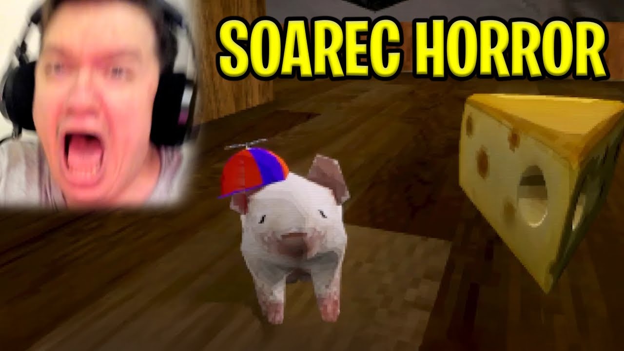 Sunt SOAREC Intr-un Joc HORROR