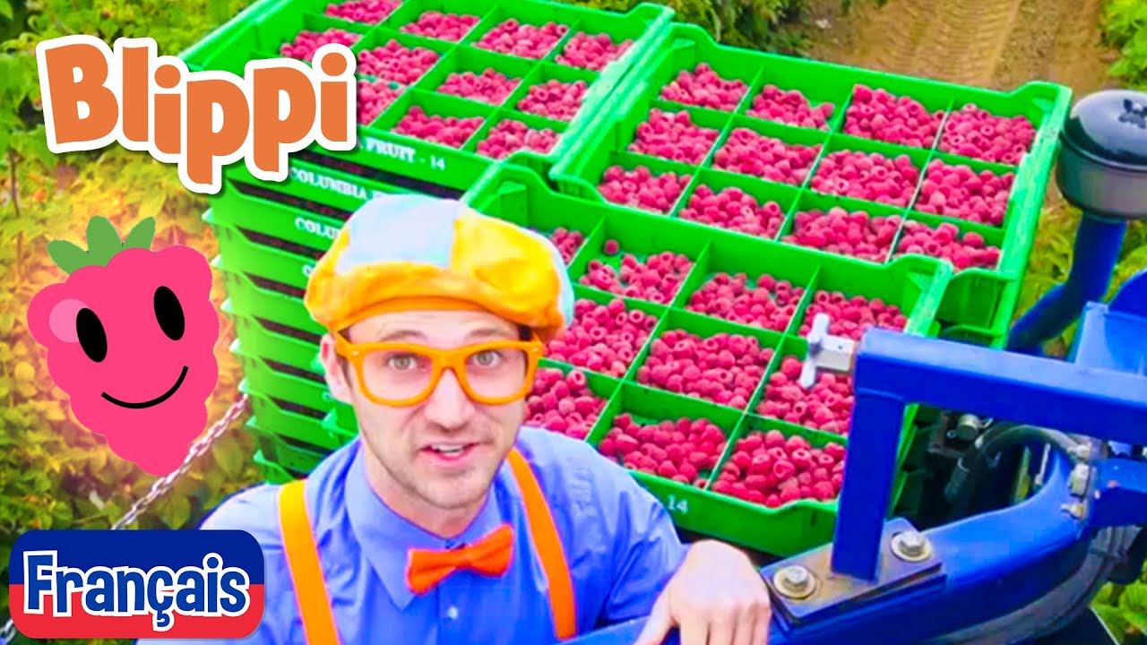 R&ecirc;ve de framboise - Blippi en fran&ccedil;ais | Vid&eacute;os &eacute;ducatives pour les enfants