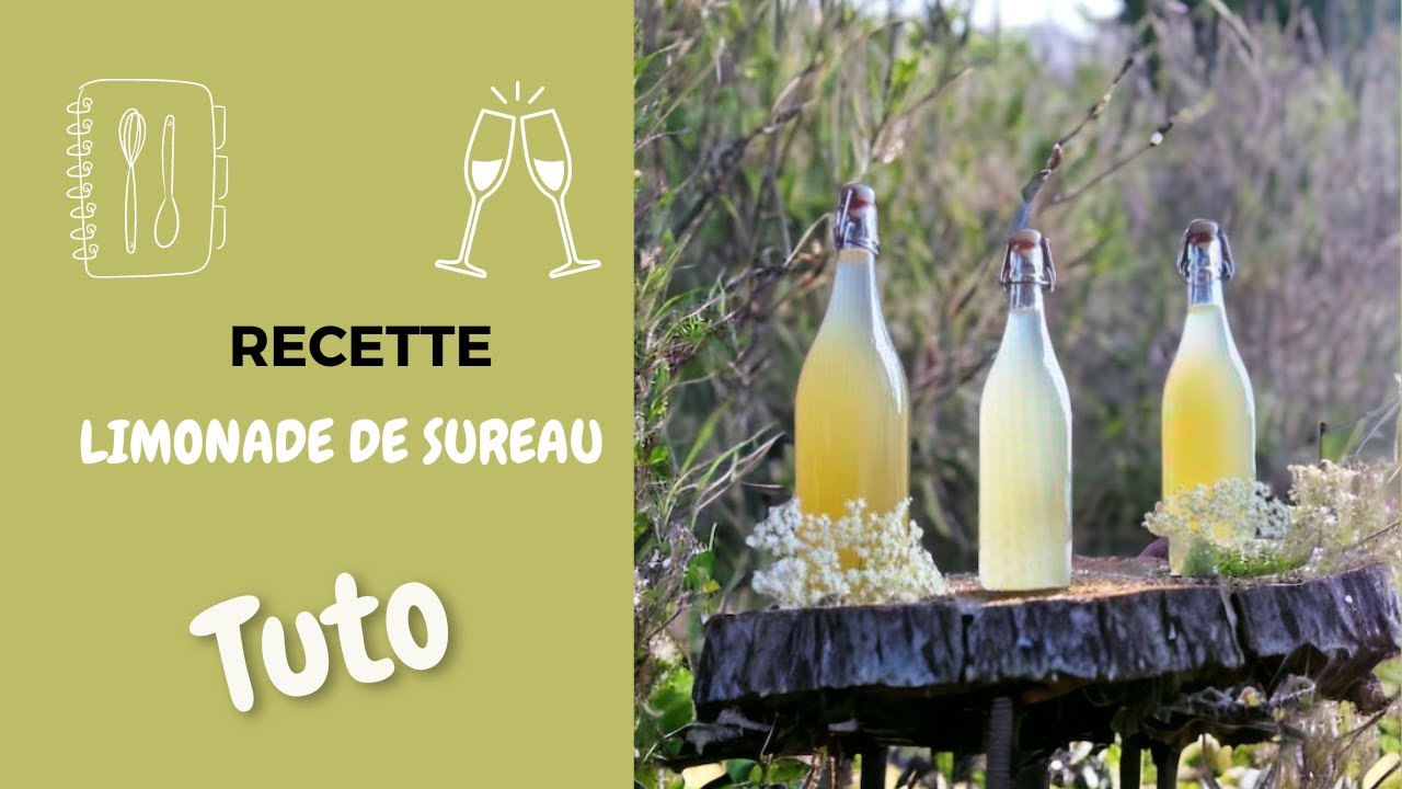 Idée recette d'été: La limonade de Fleurs de Sureau [Le champagne des fées]