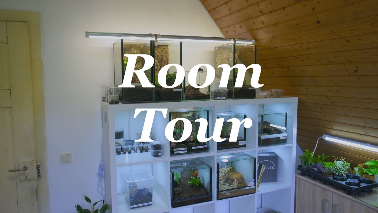 Meine exotische Room Tour, alle Tiere!!!