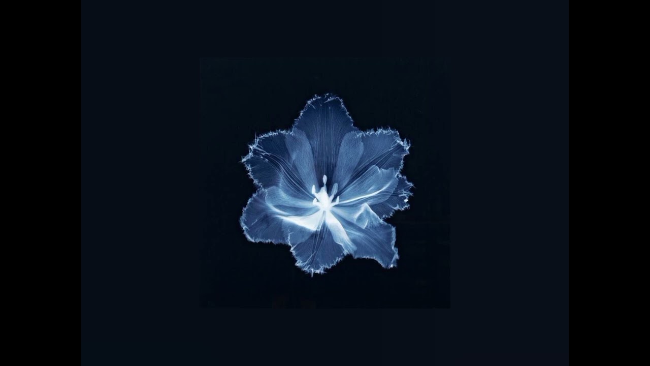 ||sped up/slowed tiktok audios for u!!|| pt.2★