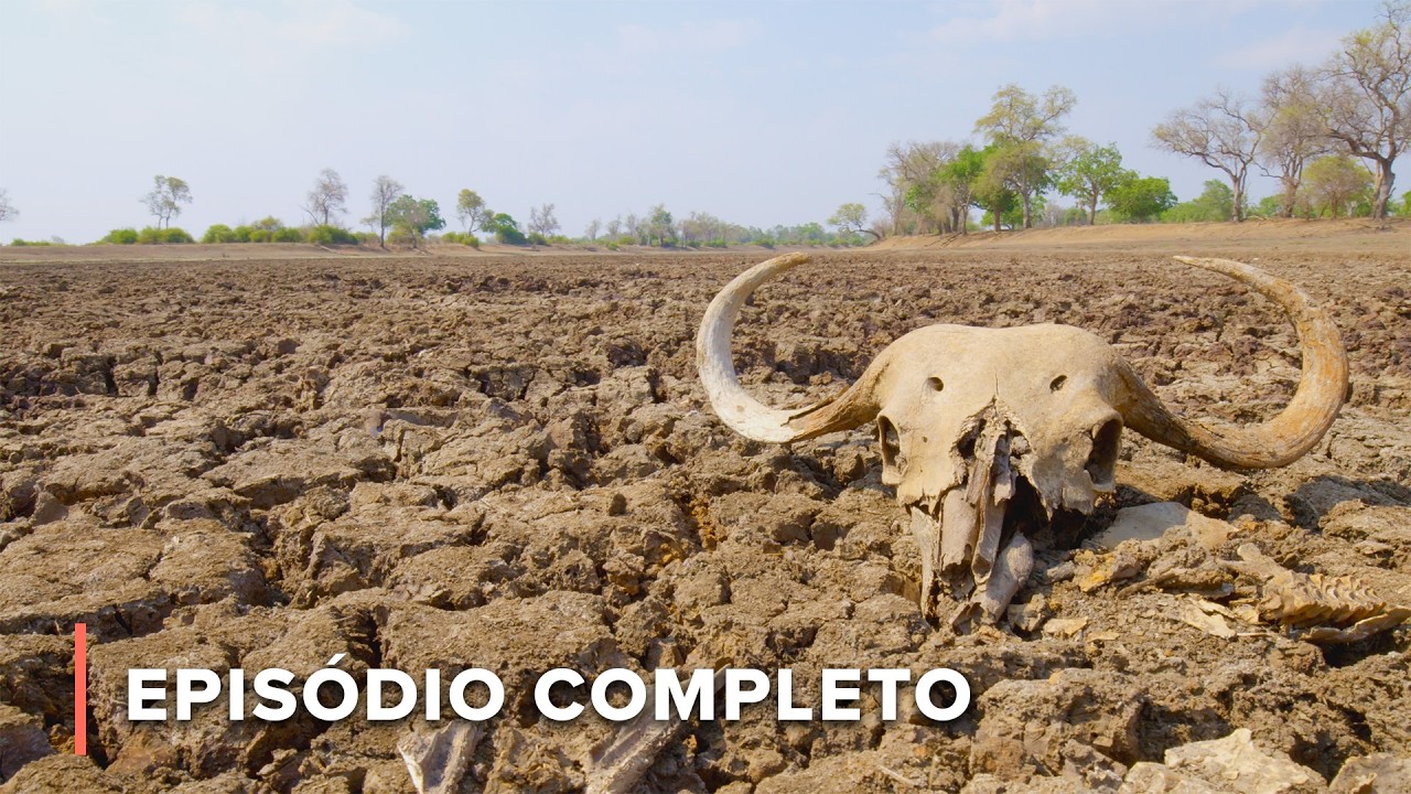A Ira do El Ni&ntilde;o: Vida e Morte no Vale de Luangwa | A Grande Seca 102