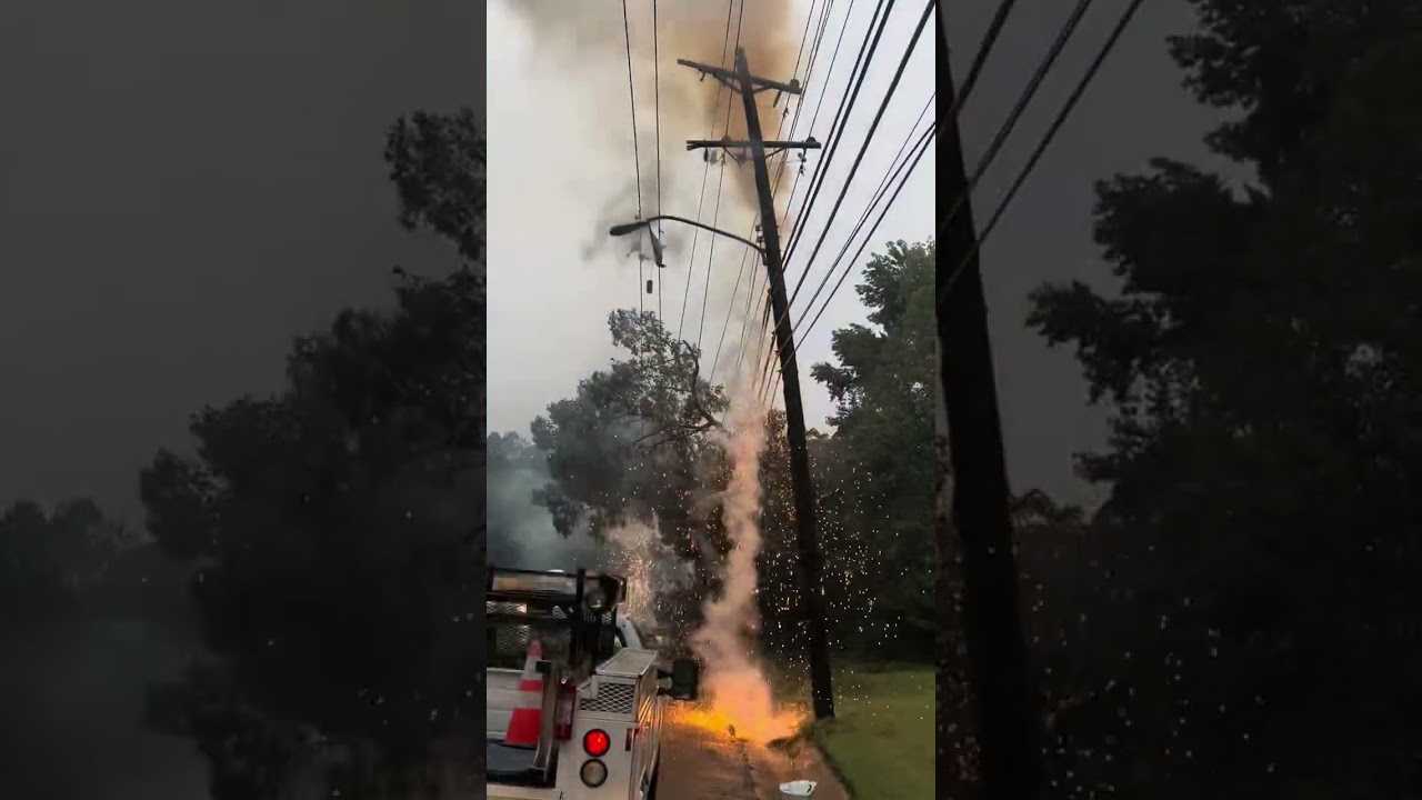 Video of Tree Taking Down Power Line During Tropical Storm Francine &ndash; Sept. 13