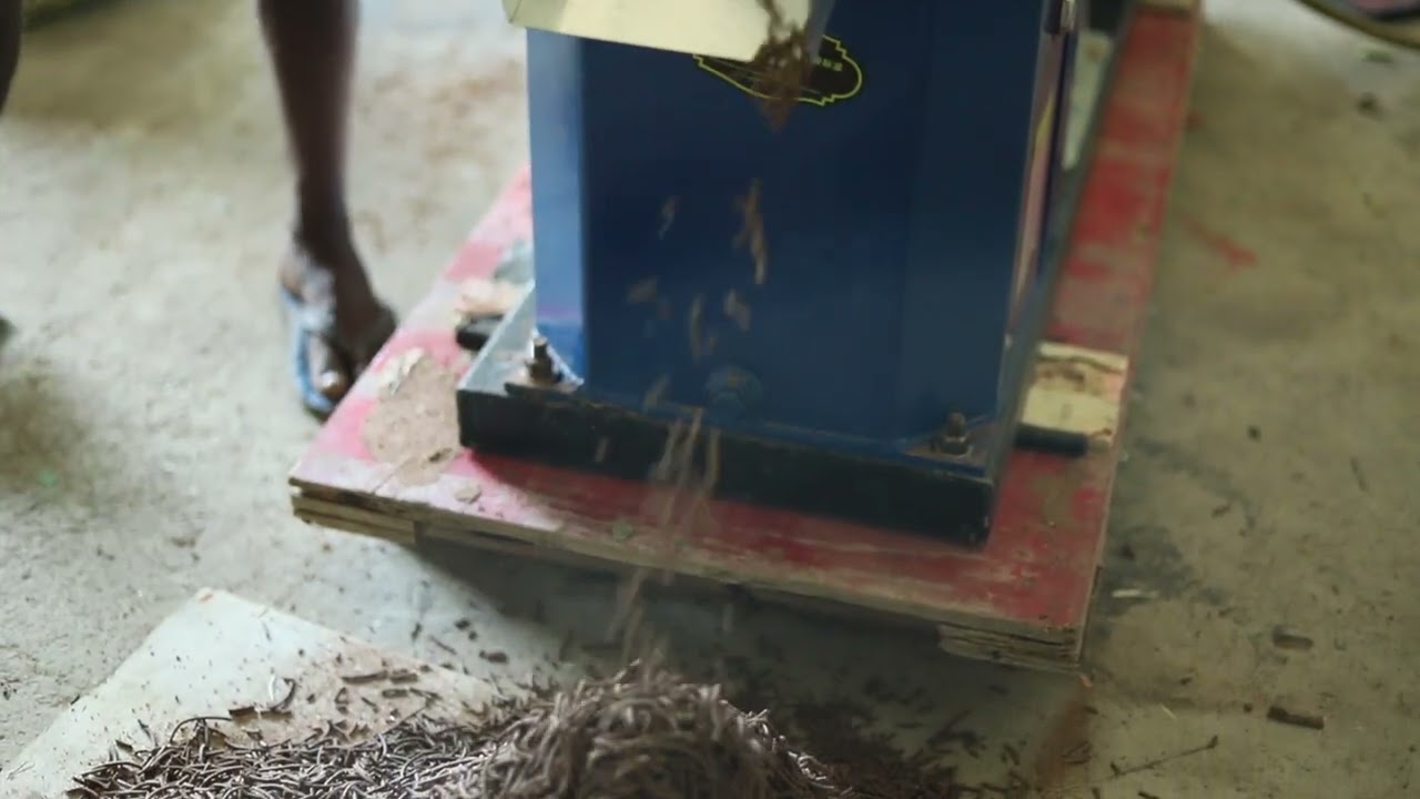 feed pellet machine Sri Lanka කෑම පෙති සාදන යන්ත්&zwj;රය #cocodreams