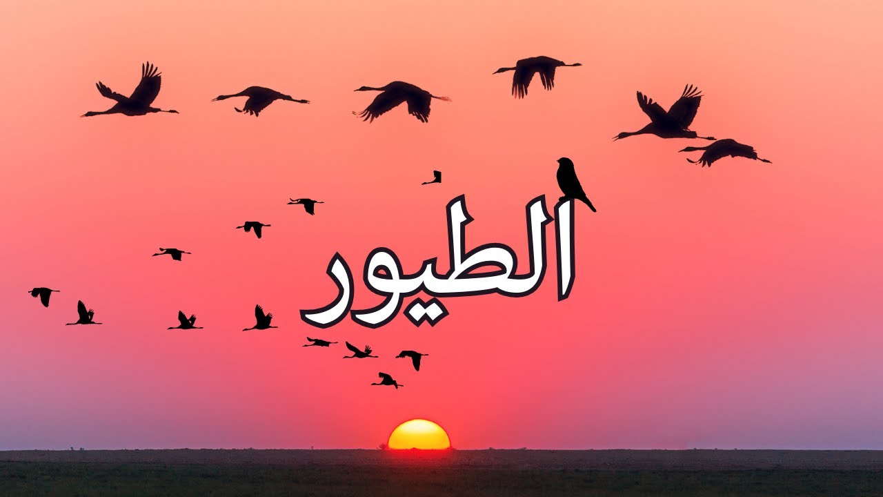 Birds in Arabic (Levantine dialect)