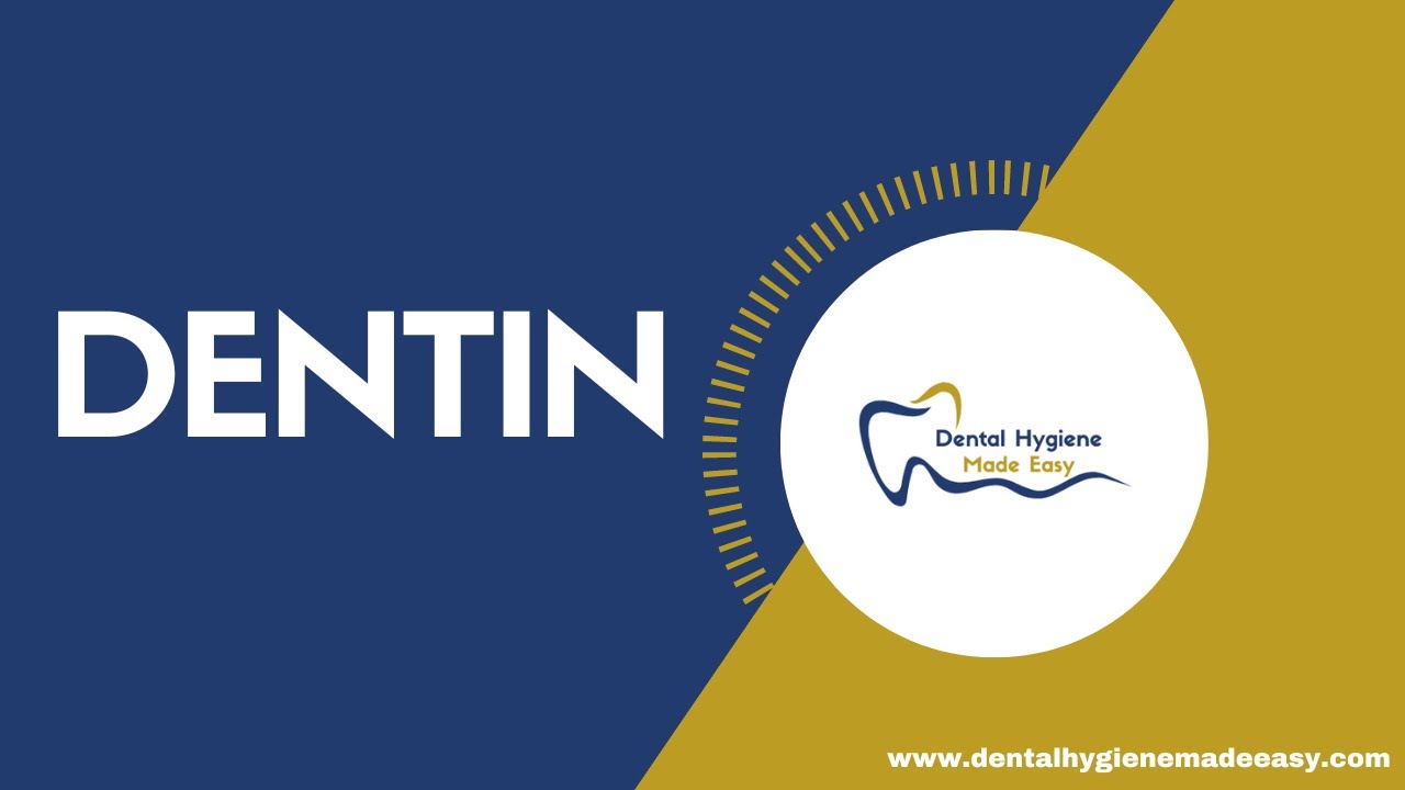 Histology of Dentin