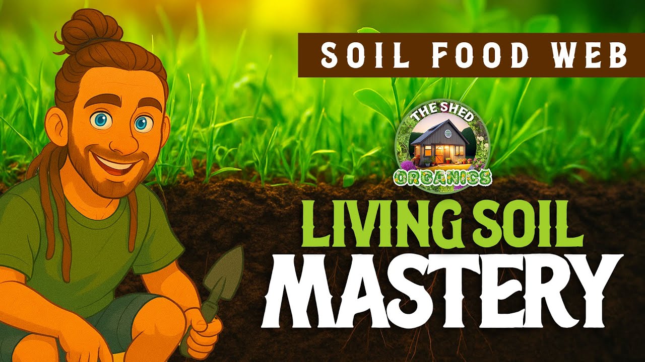 #2 - Soil Food Web | Living Soil Mastery
