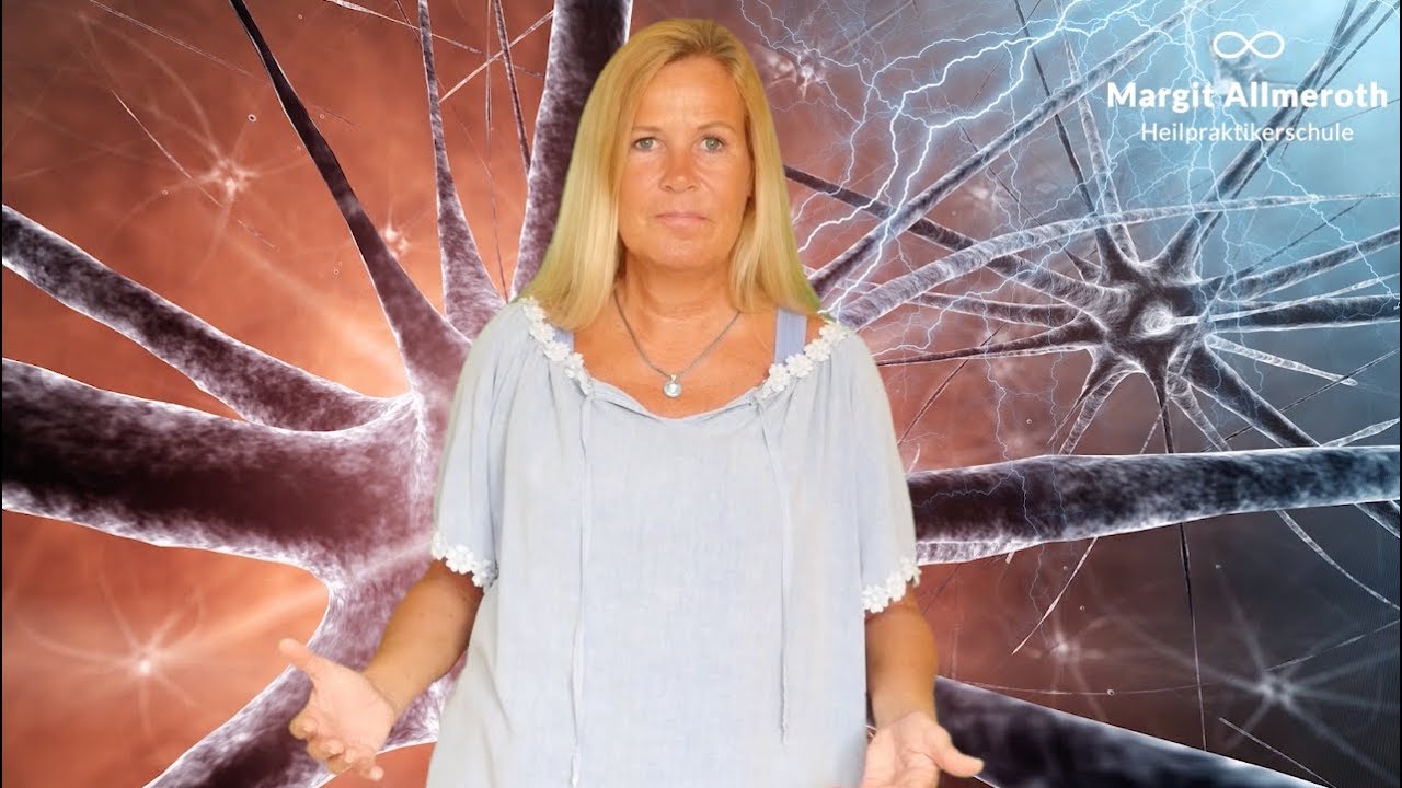 FragMargit&reg;: Multiple Sklerose einfach erkl&auml;rt.