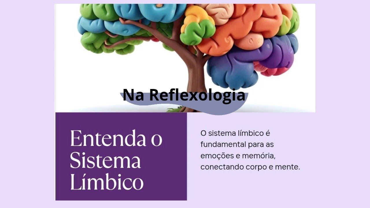 Reflexoterapeuta : Entenda o Sistema L&iacute;mbico 