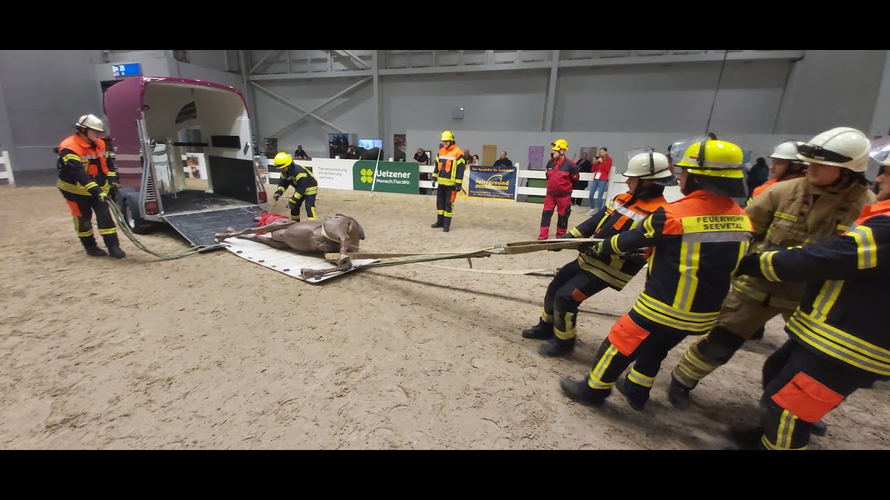 Großtierrettung Passion Pferd Hannover