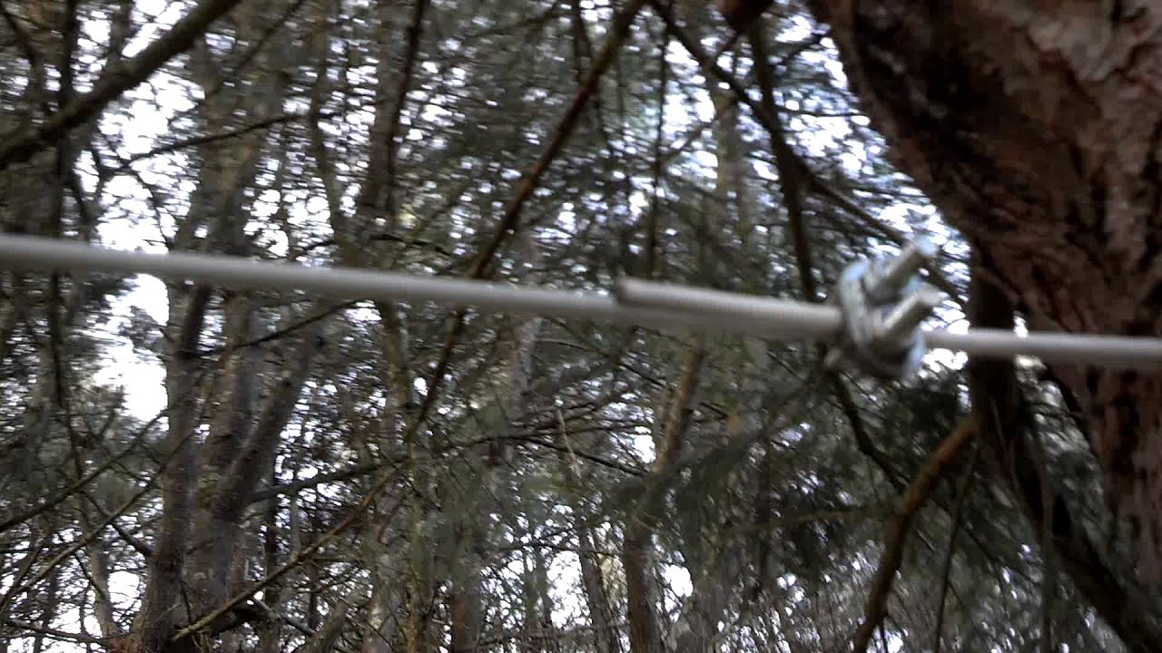 Installation of Dog Cable Run