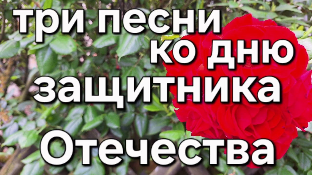 23 февраля . Песни для вас солдаты.