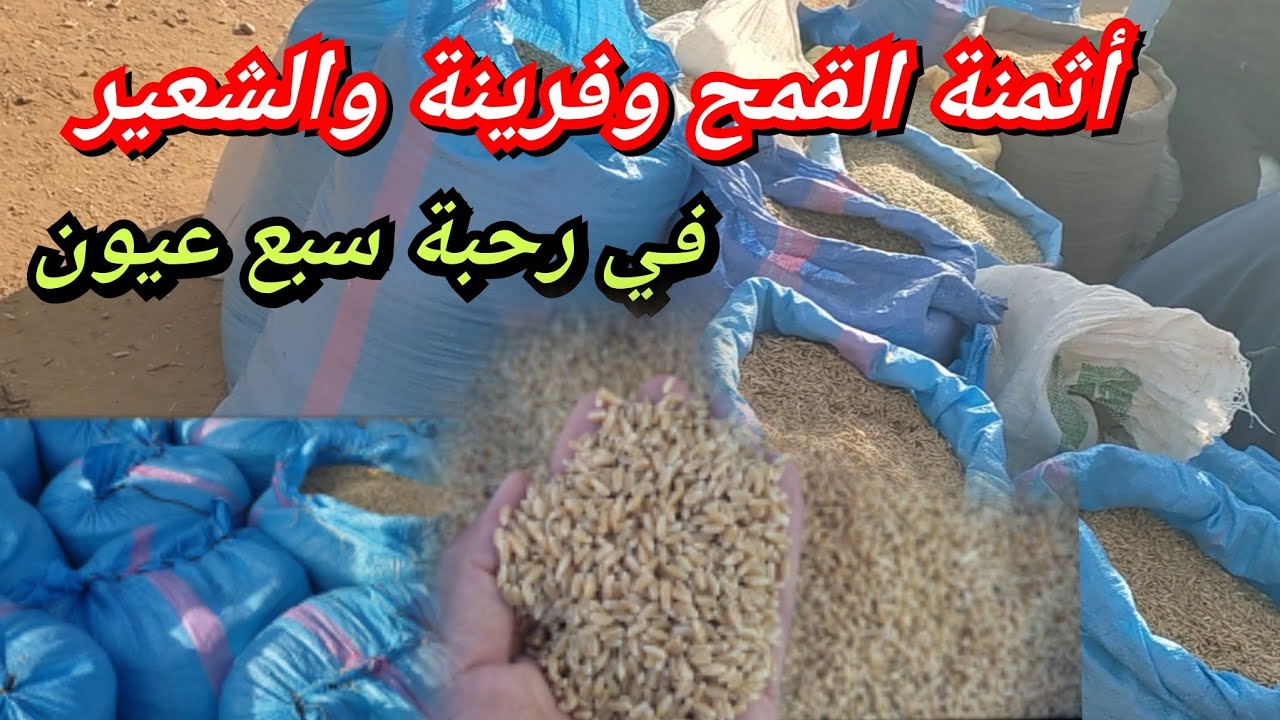 أثمنة الحبوب القمح وفرينة والشعير الذرة والفوراج والقطاني من رحبة القمح في سوق سبع عيون بمكناس