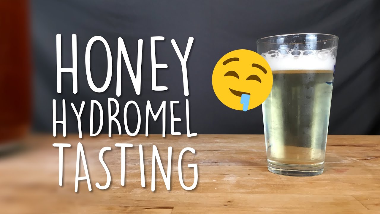 THIS IS DELICIOUS - Tasting our honey HYDROMEL during social distancing | Brewin' the Most