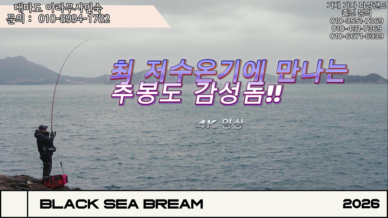 김성돔이 정말 많은데 실력이 안되어 많이 못잡았습니다!!