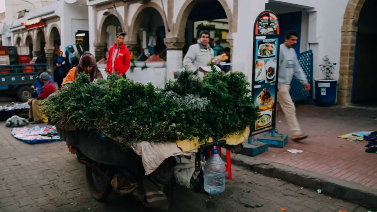 Music of Morocco  : Road to Casablanca [1]