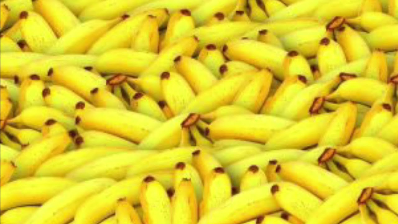 David Walliams - CHAPTER TWO - Code Name Bananas - Story Read Out Aloud