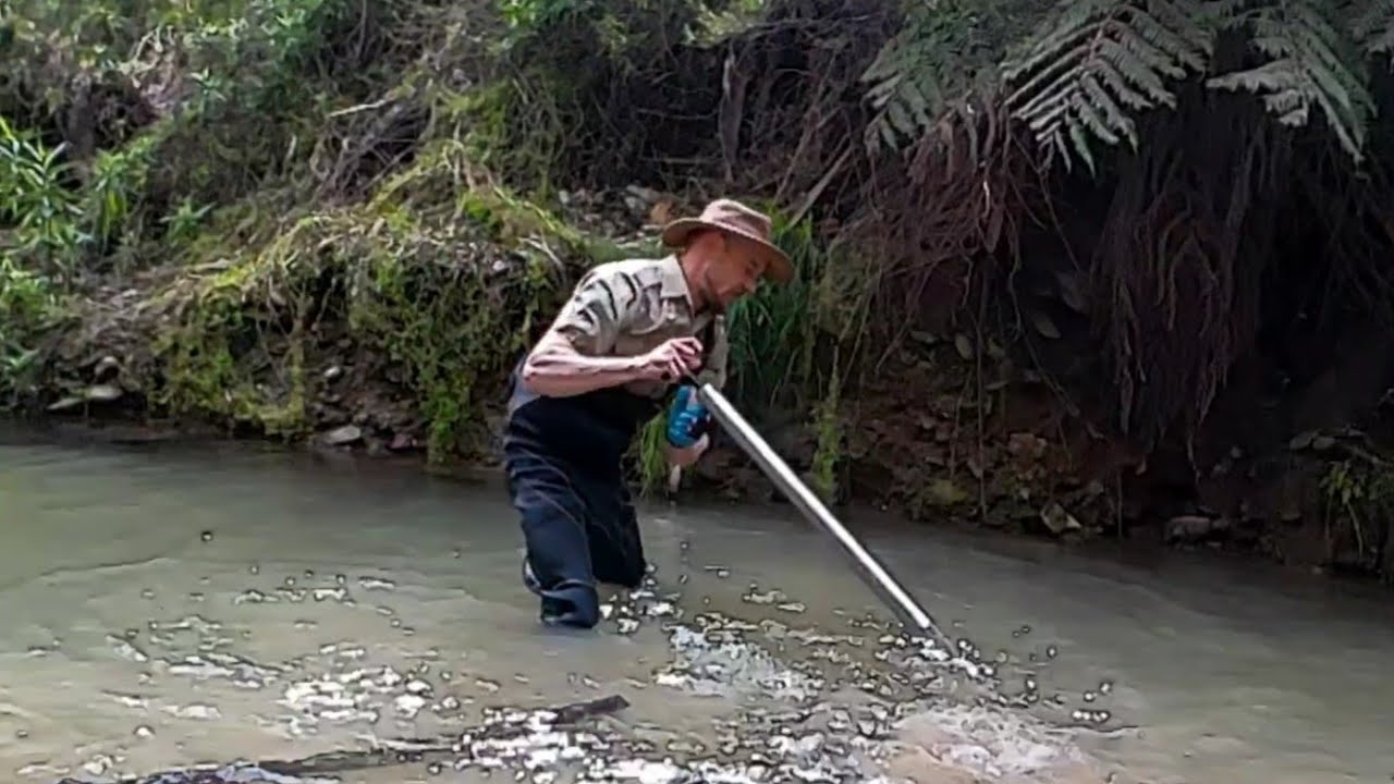 Chunky Alluvial Gold! | Cadgee/Bodalla South Coast NSW OZ