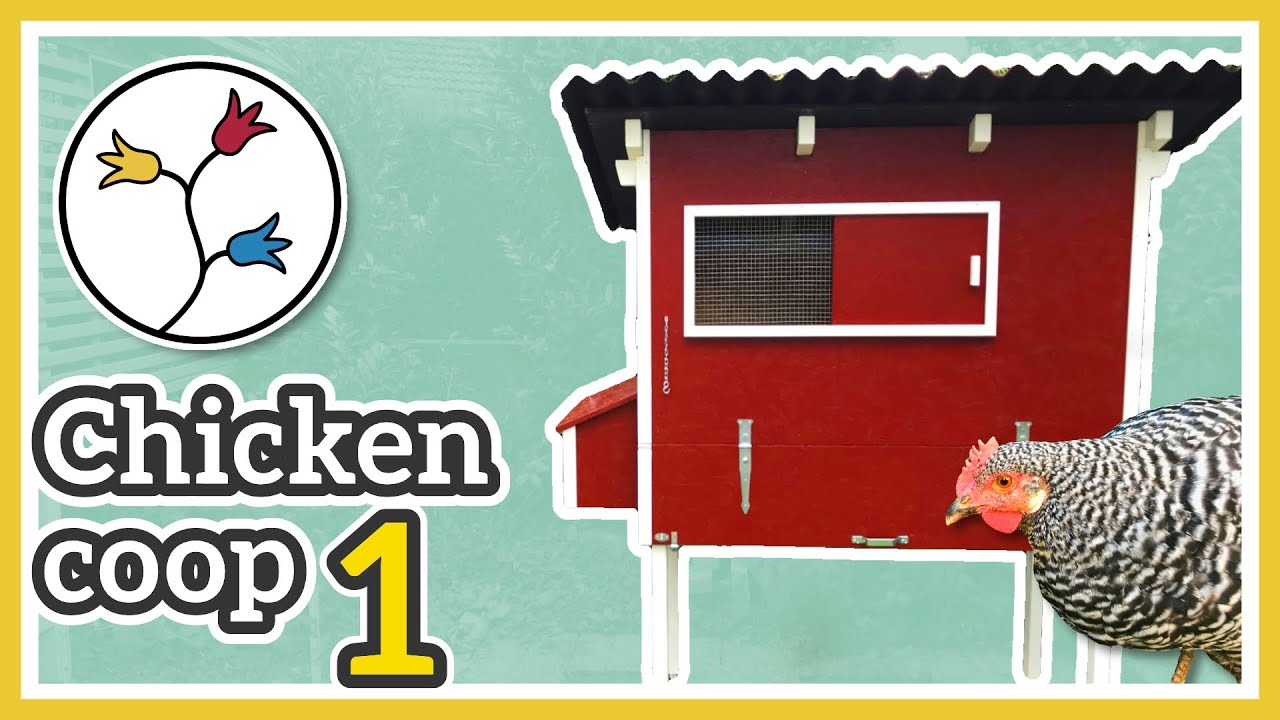 DIY Chicken Coop – Functional and beautiful henhouse (Part 1/2)