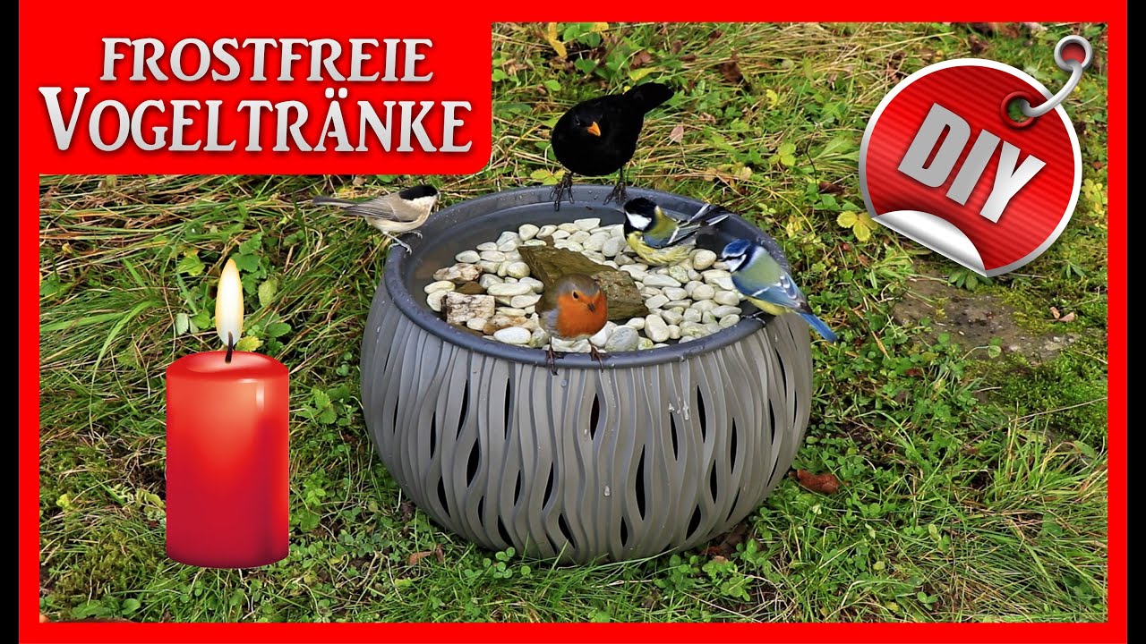 Frostsichere Vogeltränke selber bauen DIY