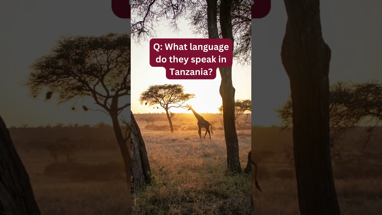 What language do they speak in Tanzania? 🇹🇿