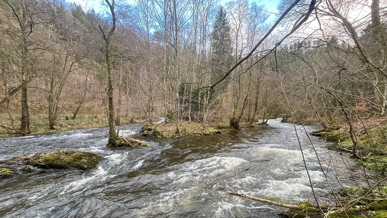 Germany 2024-02-11: Packrafting Obere Rur 1/2 (Monschau - Gr&uuml;nenthal)