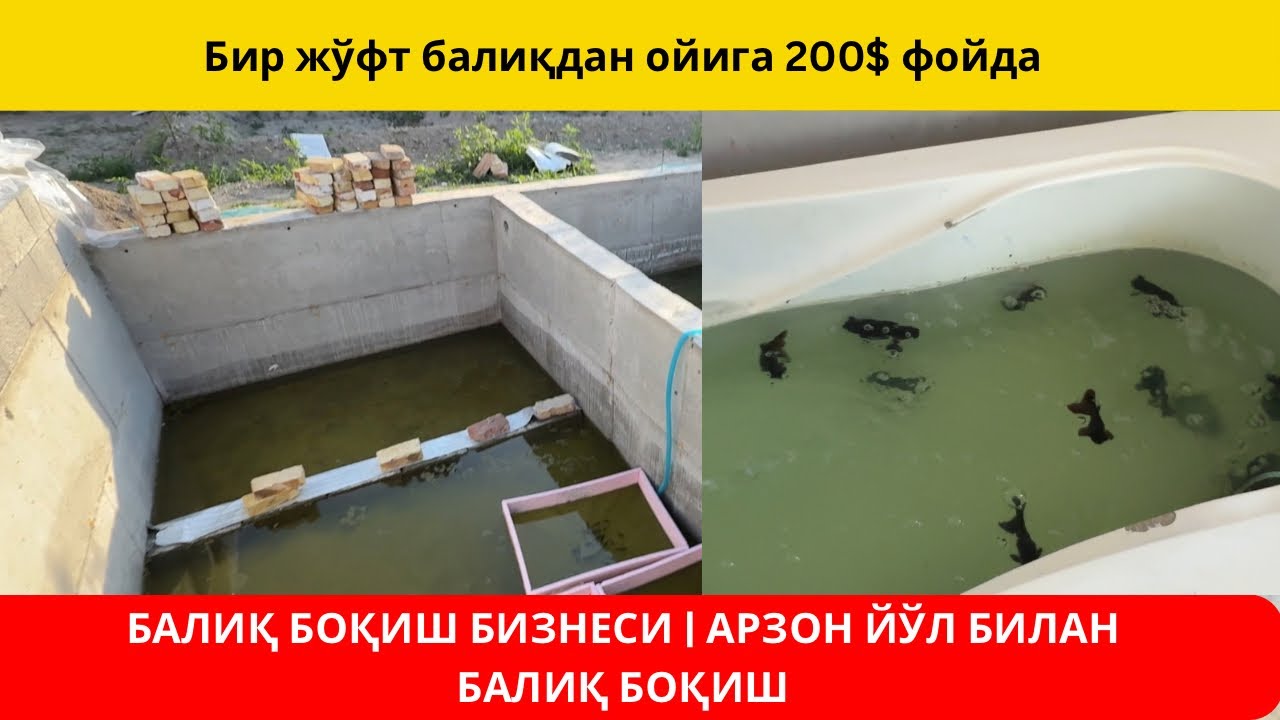 ХОВУЗДА БАЛИҚ БОҚИШ СИРЛАРИ ЎЙ ШАРОИТИДА БАЛИҚ КЎПАЙТИРИШ