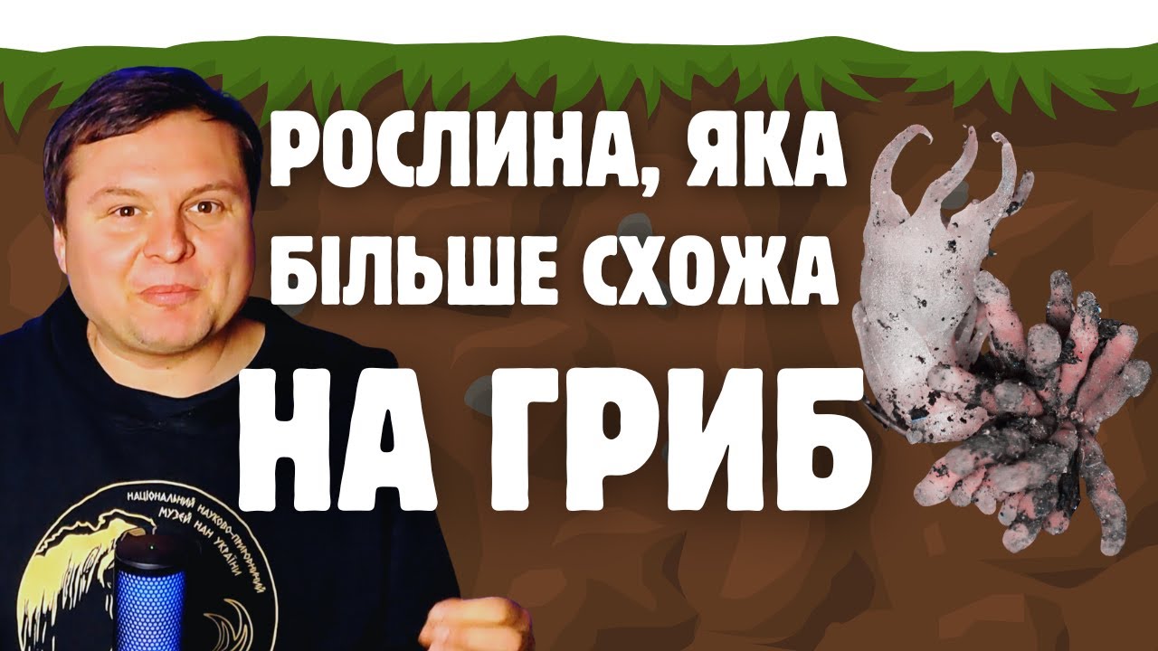 Квітка розкривається під землею. Новий рід рослин, які паразитують на грибах. Relictithismia