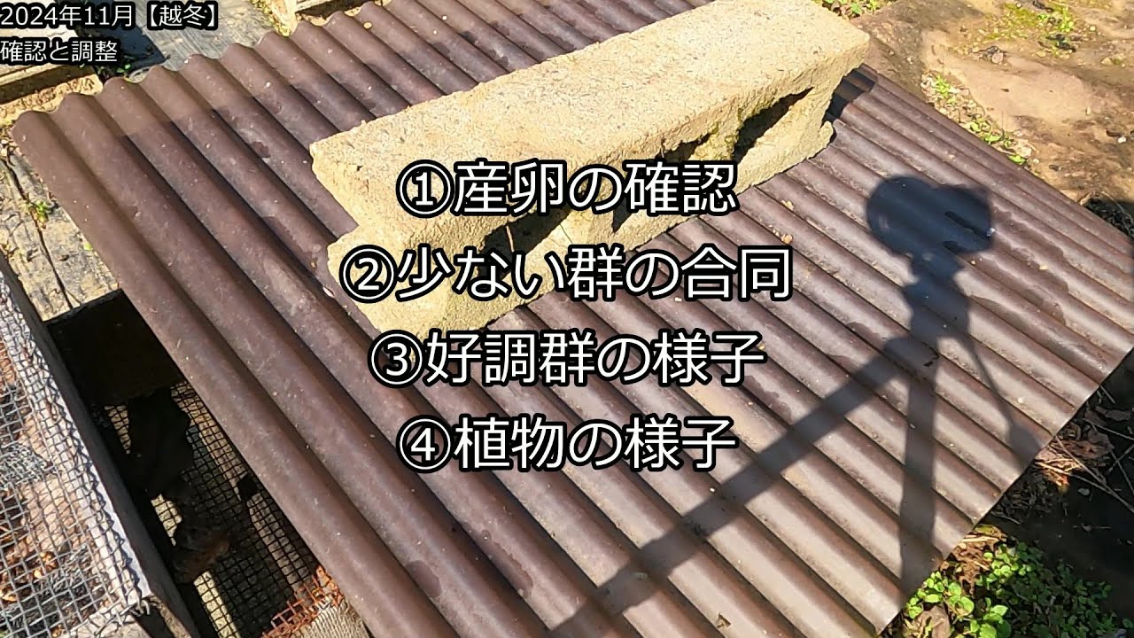 No75【越冬】越冬前の確認と調整