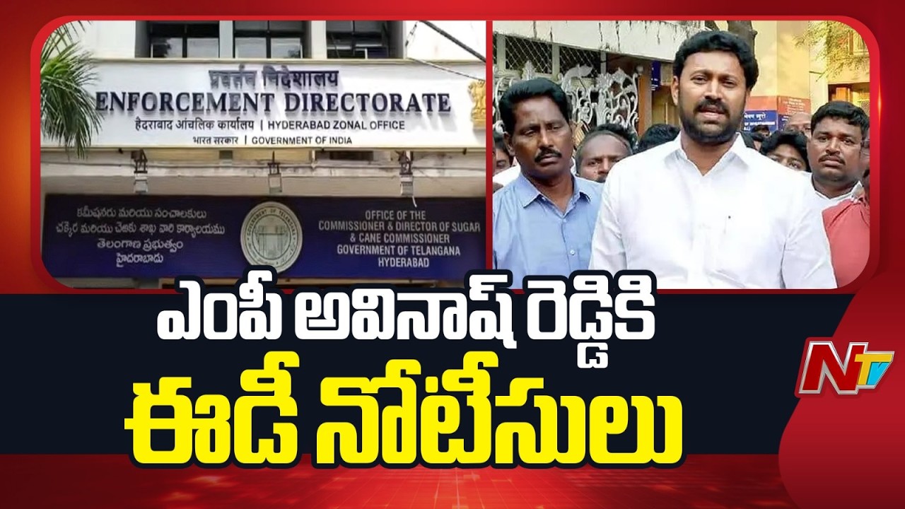 ED Notice To MP Avinash Reddy in YS Vivekananda Reddy Mur*der Case | YCP | NTV Telugu