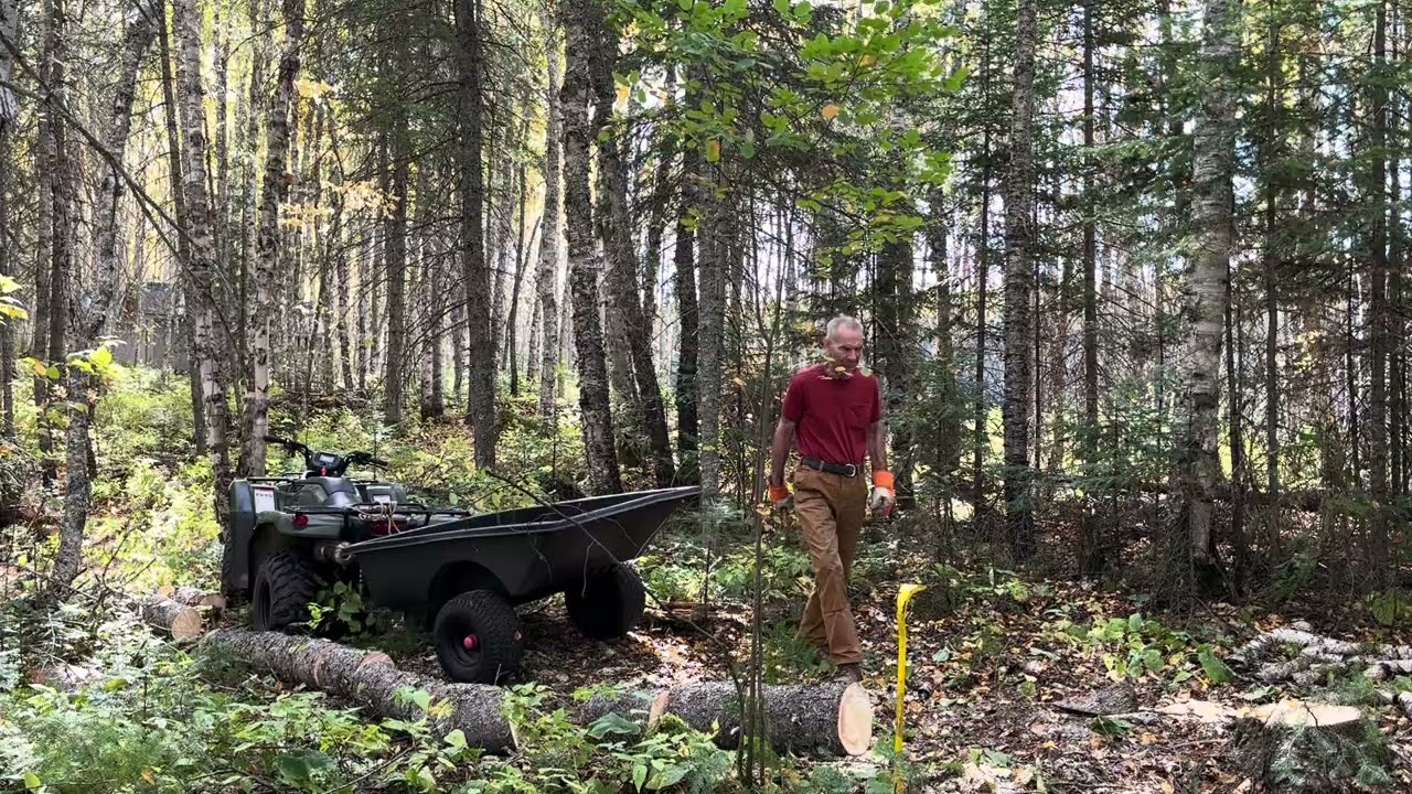 hauling winter firewood to the trapline cabin, Canadian wilderness, Northwestern Ontario