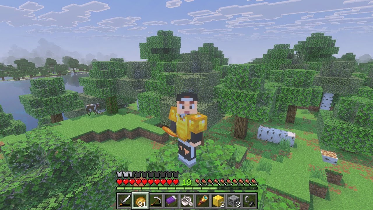 Minecraft tamos de chill ps5