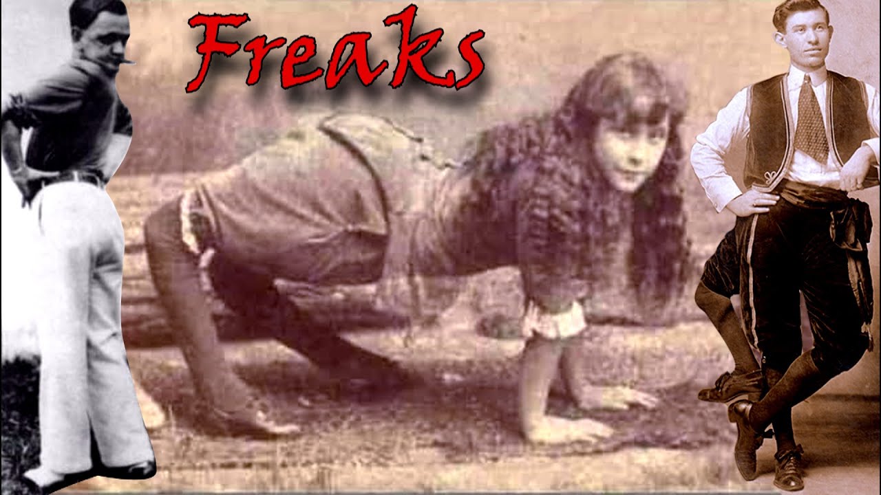 Le storie dei FREAKS