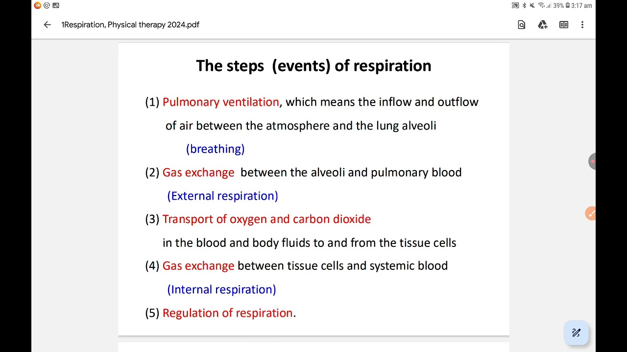 Respiratory system physio pt ninu dr rawan salam