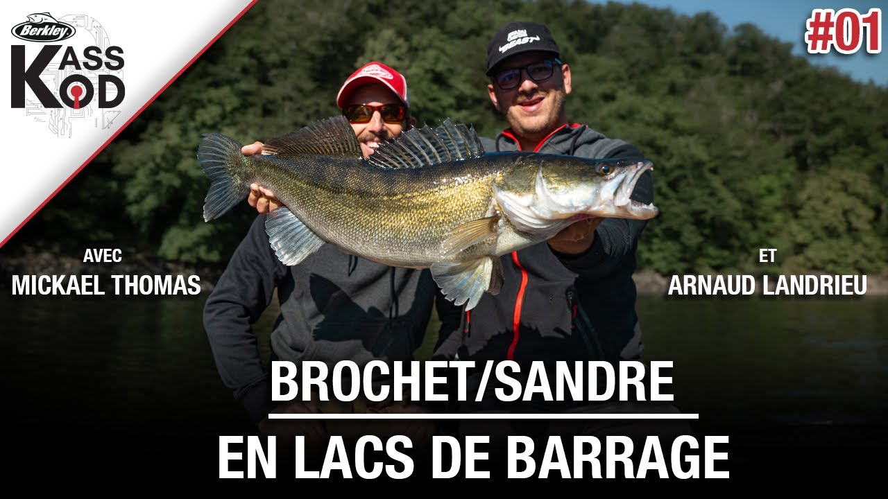 🎣La pêche du brochet et du sandre au leurre en lac de barrage