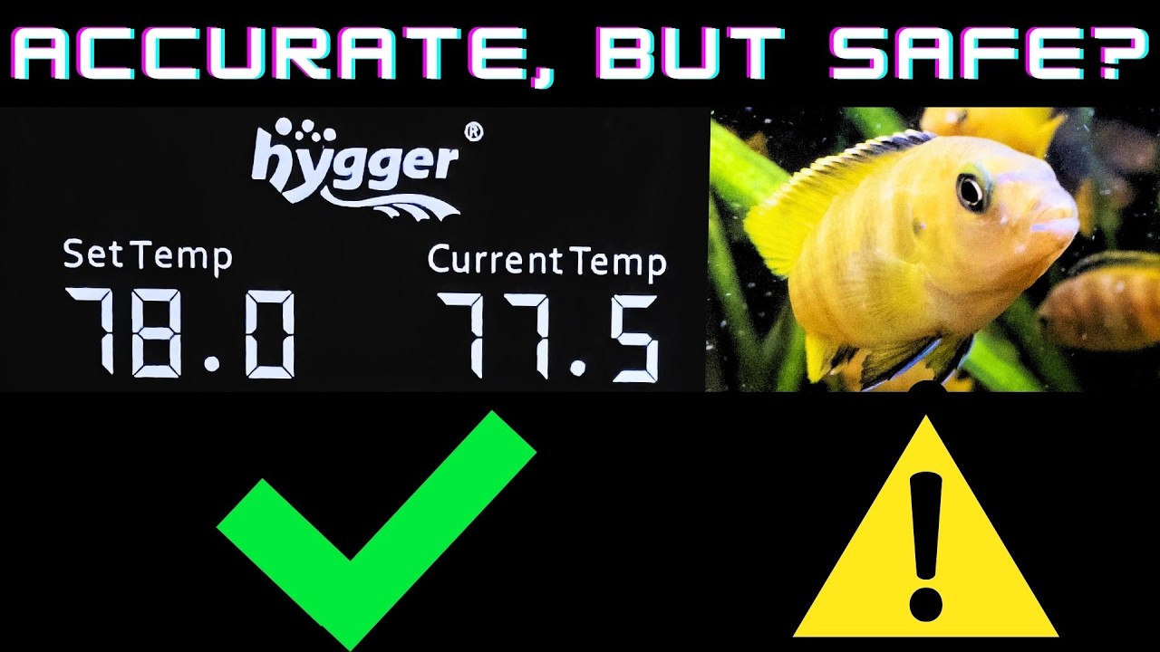 Hygger 100W Heater Review: Ultra-Accurate...But Watch Your Fish!