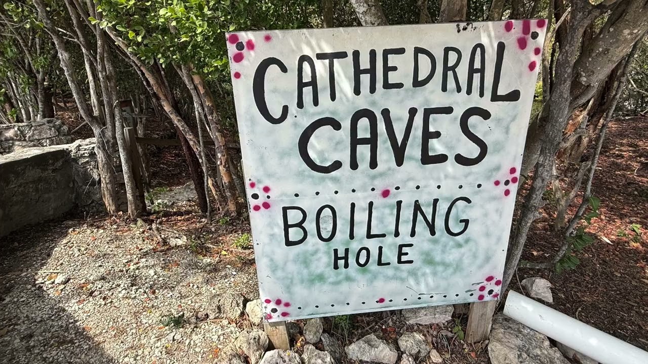 Highlights from the South Eleuthera Eco & Historical Tour (LPT06) at Disney Lookout Cay