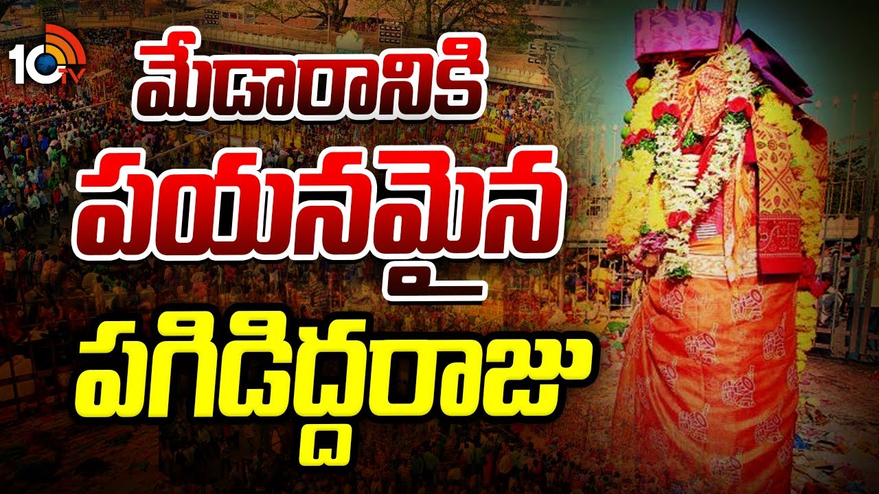 Sammakka Saralamma Jatara 2026 | మేడారానికి పయనమైన పగిడిద్దరాజు | 10TV News