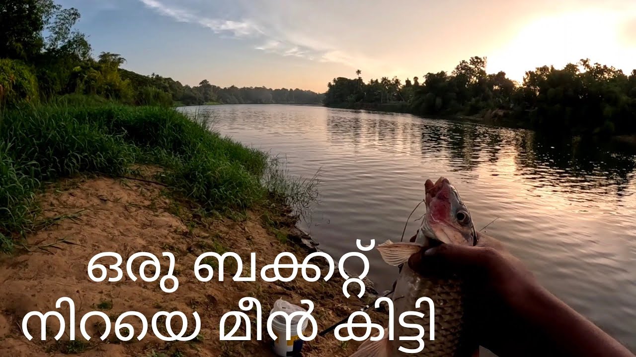 ചെറിയ മീനിനെ പിടിക്കാൻ പോയി.. 🐟🥰 കിട്ടിയത് മൊത്തം വലിയ മീൻ.kerala River Fishing Videos/carp fishing