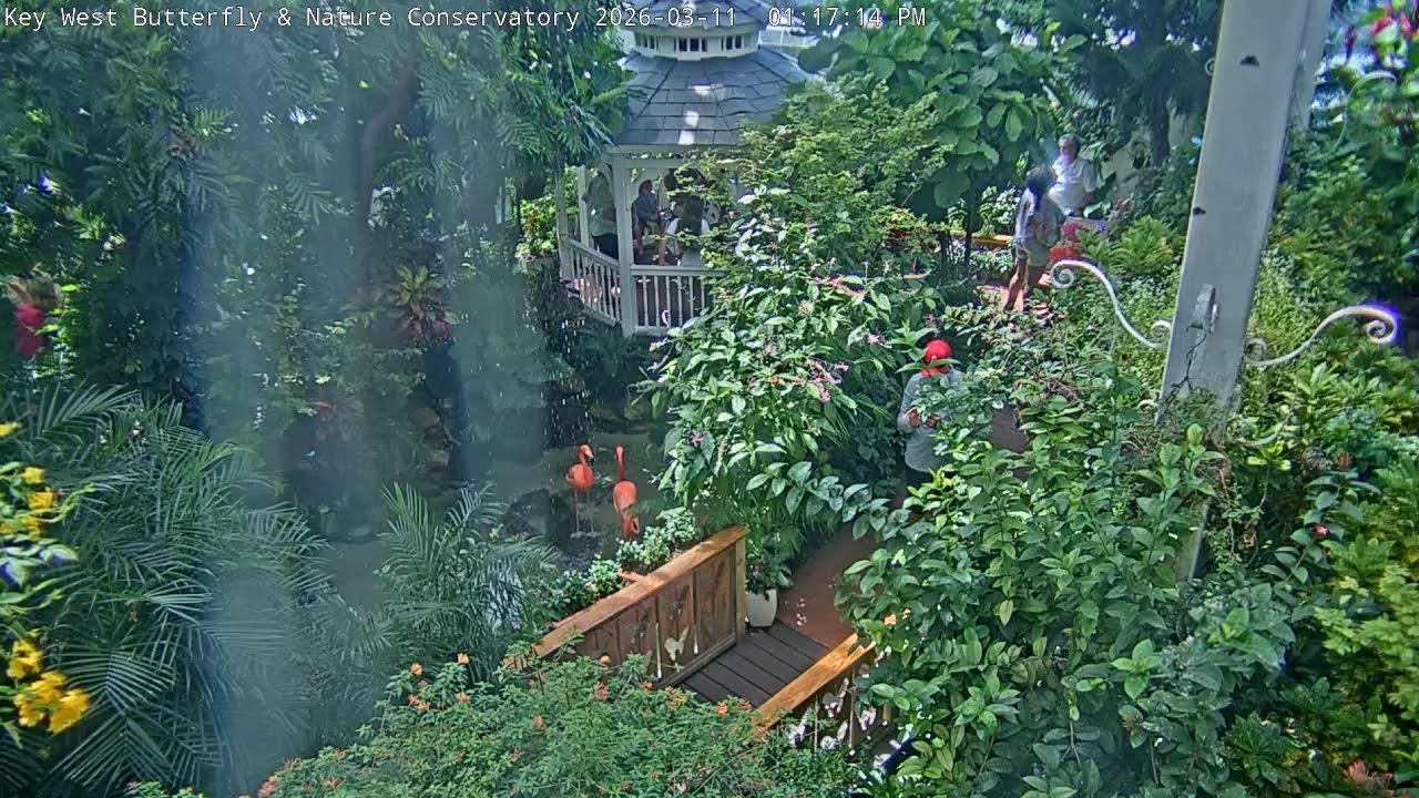 Key West Butterfly & Nature Conservatory