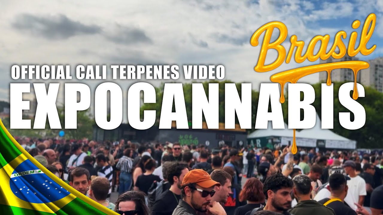 💚EXPOCANNABIS BRASIL 2025 S&atilde;o Paulo💚