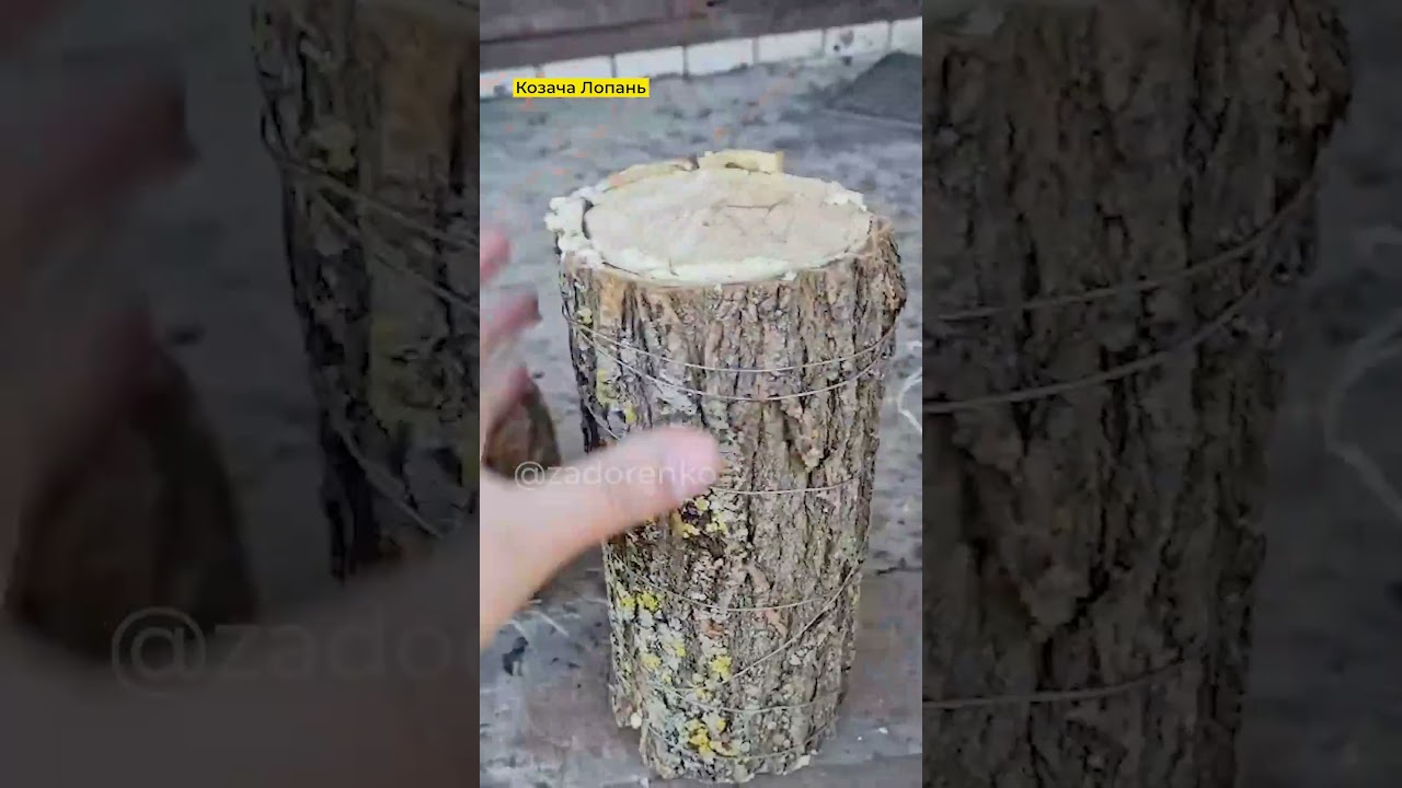 &laquo;Пелюстки&raquo; на дорогах, міни-пастки у дровах: росіяни тероризують прикордоння Харківщини