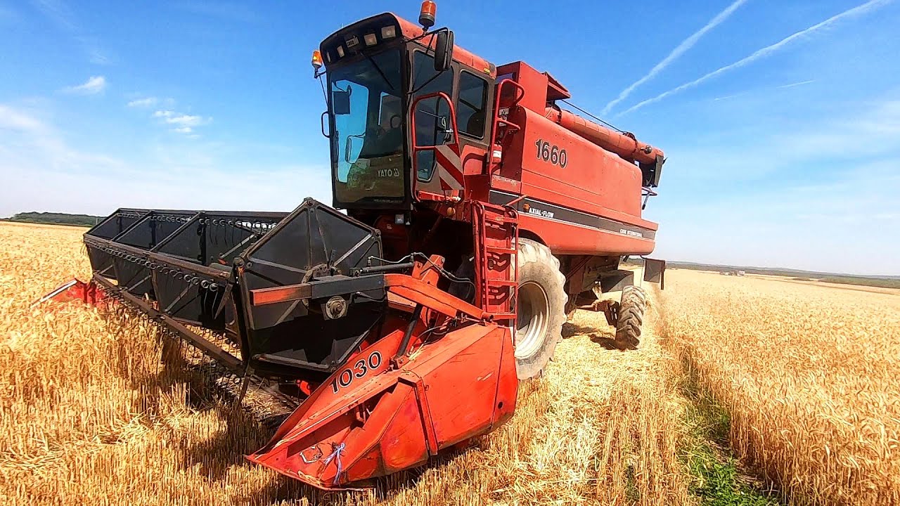 Wheat harvesting-Case International 1660-Treierat de grâu la Nojorid-Bihor-05.07.2022