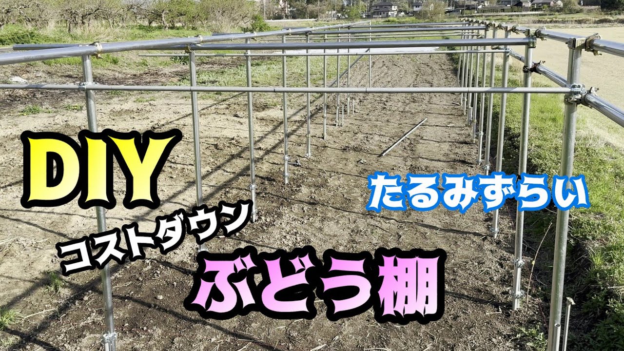 DIY細くても強い【ぶどう棚】５％　＃ぶどう＃栽培＃シャインマスカット＃ぶどう棚＃雨除け