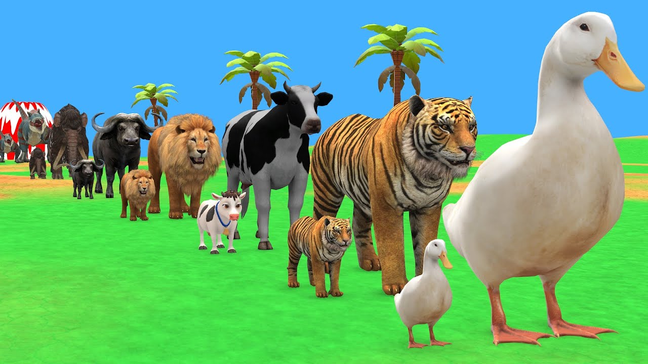 Long Slide Game with Cow Elephant Gorilla Hippopotamus Tiger 3d Animal Game Funny 3d Animals