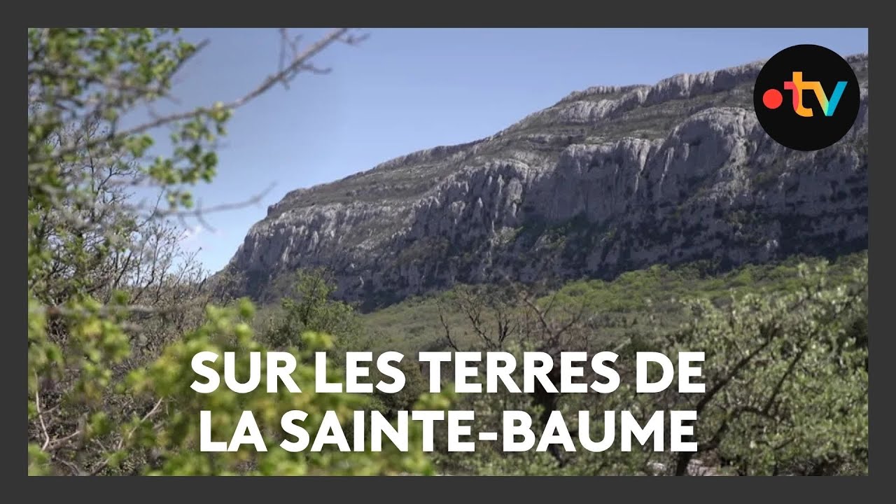 Massif de la Sainte-Baume : la nature au sommet de la Provence